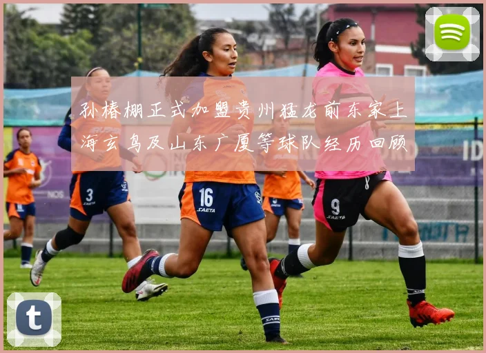 孙椿棚正式加盟贵州猛龙前东家上海玄鸟及山东广厦等球队经历回顾