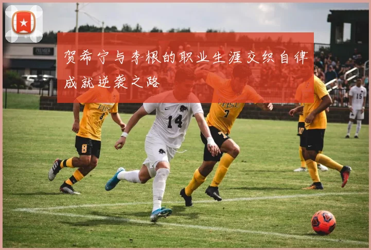贺希宁与李根的职业生涯交织自律成就逆袭之路